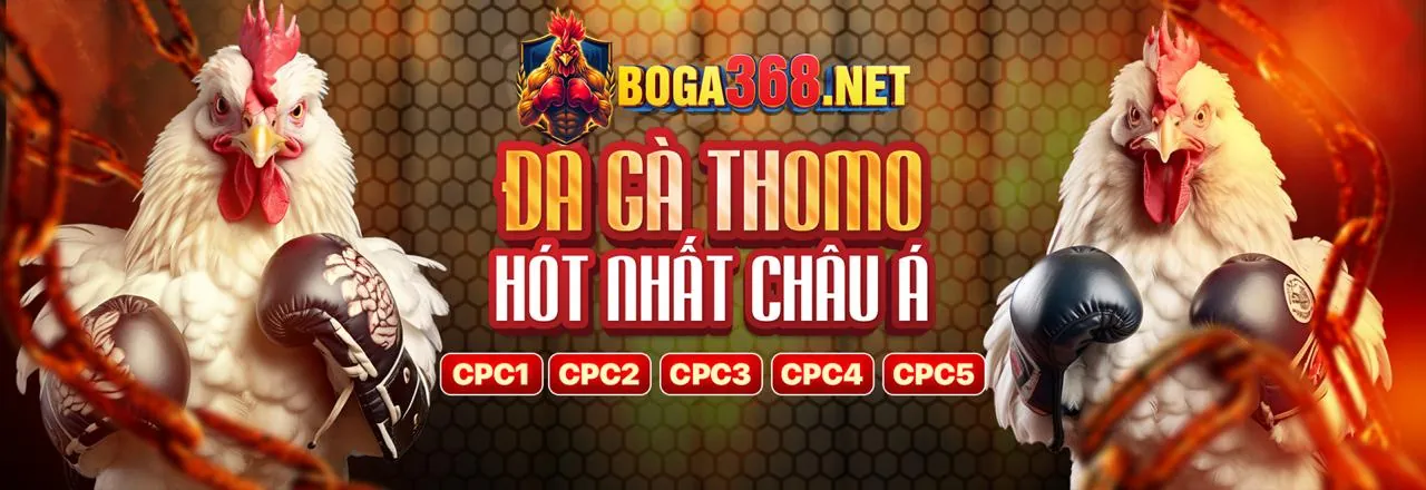 Ưu đãi và Khuyến mãi king777 nhà cái